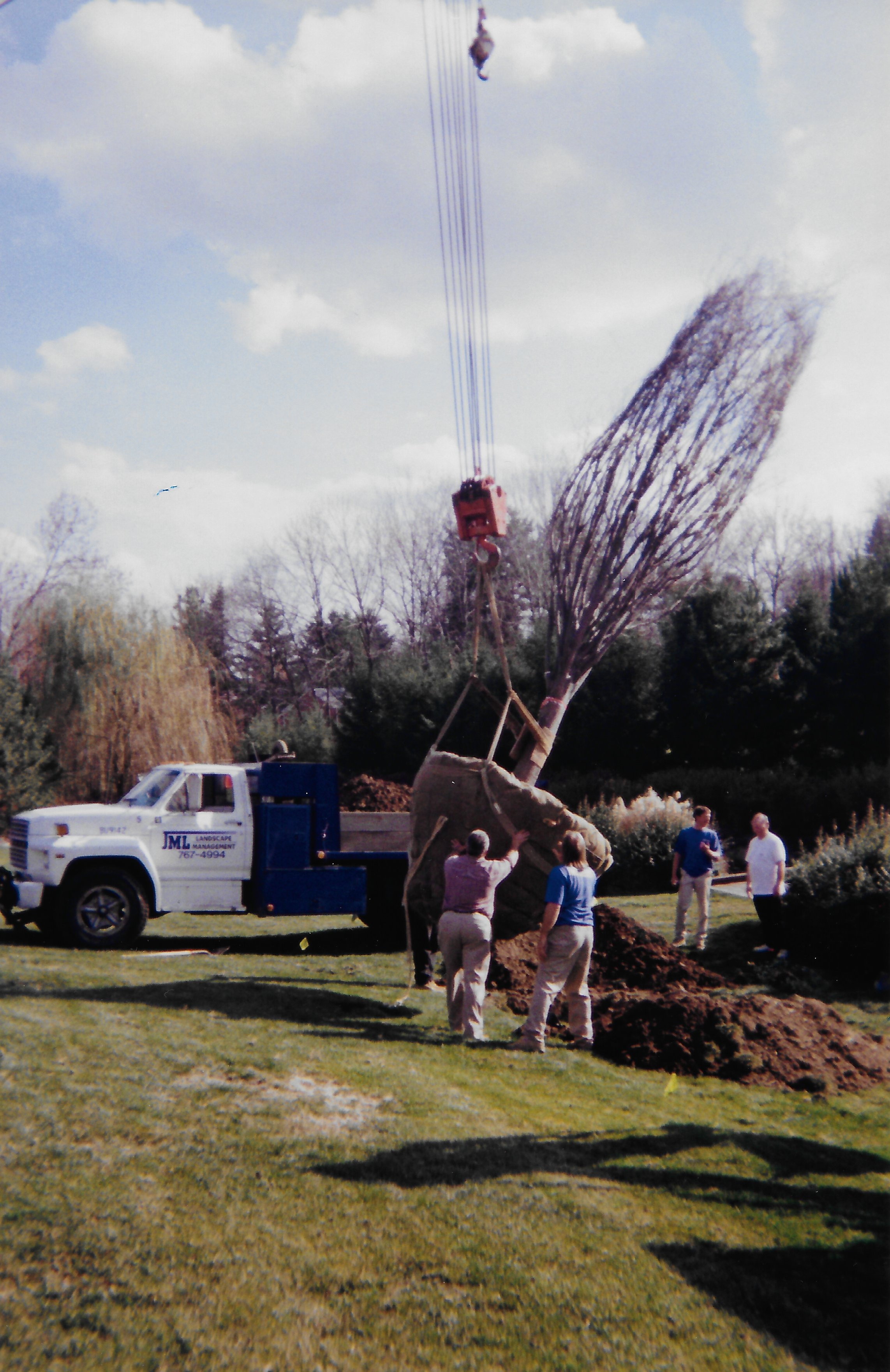 Big tree install